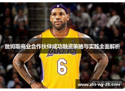 詹姆斯商业合作伙伴成功融资策略与实践全面解析 詹姆斯商业合作伙伴成功融资策略与实践全面解析