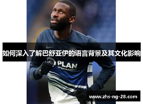 如何深入了解巴舒亚伊的语言背景及其文化影响 如何深入了解巴舒亚伊的语言背景及其文化影响